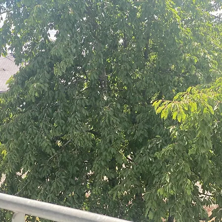 Le Clos Des Pommiers Bed & Breakfast